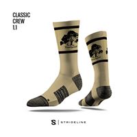 Picture of 24759120 N00837804