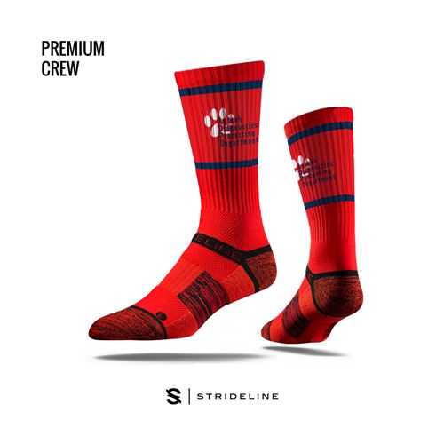 Picture of 44894983 N02102229XS